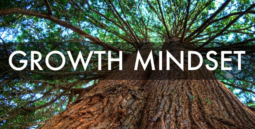 growth mindset1